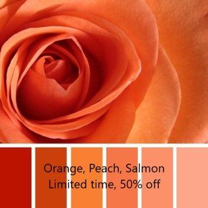 Orange 🍊 Peach🍑 Salmon-Coral🍣 * Arranged by size, color groupings